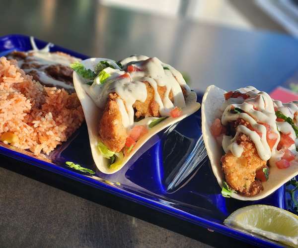 New Fried Fish Tacos